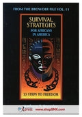 Survival Strategies for Africans in America: 13 Steps to Freedom